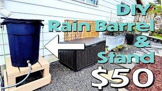 DIY Rain Barrel & Stand for $50