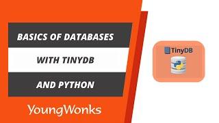 Basics of Databases using Python and TinyDB