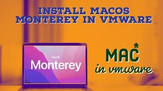 Install MacOS Monterey on Vmware in Windows | 2022