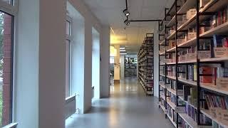 Walk on a Library - Books - Royalty Free Stock Video