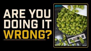 COMPLETE GUIDE to Growing Hops at Home (And what you're DOING WRONG) | Hops & Gnarly Home Brewery