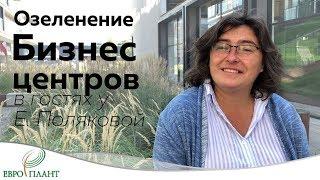 Озеленение бизнес-центров. В гостях у Елены Поляковой