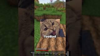 War dieser PRANK an @TooBad zu viel…?!#minecraftshorts #holidayswithshorts #maggus