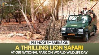 PM Modi embarks on a thrilling Lion Safari at Gir National Park on World Wildlife Day