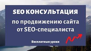 SEO консалтинг (консультация по SEO продвижению сайтов)