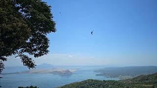 Peaceful and Beautiful Scene of Birds Flying : Taal Lake Tagaytay Philippines