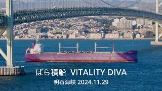 (HDR)  VITALITY DIVA  ばら積船　　明石海峡  2024.11.29