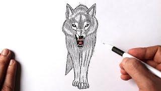 How to draw a wolf