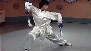 Wushu rare weapons: twin chain whips basic moves