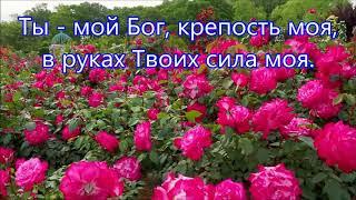 Ты  мой Бог