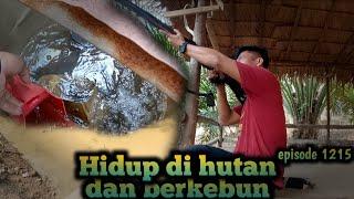 atas izin allah hujan turun membasahi tanah perkebunan kami warta petani muda hidup di hutan