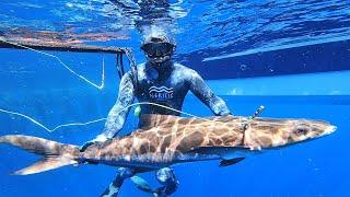 Spearfishing Offshore Oil Rigs CRYSTAL Clear Water Louisiana!