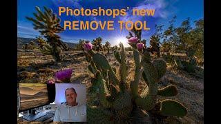 Photoshop's REMOVE TOOL