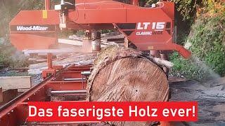 Das erste Mal, dass ich dieses Holz auf dem Sägewerk habe!