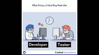 Developer and Tester #shorts