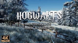 Winter Grounds at Hogwarts | 4K Cinematic Harry Potter Music & Ambience