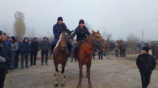 Beshariq ot va qoy bozoridagi narhlar bilan tanishing 10.11.2024yil