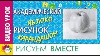 КАК нарисовать ЯБЛОКО. Академический РИСУНОК простым карандашом. Видеоурок.