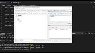 How to Insert Into a SQLite Database in Python - Python Tutorial