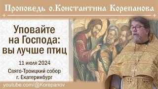Уповайте на Господа:  вы лучше птиц. Проповедь священника Константина Корепанова (11.07.2024)
