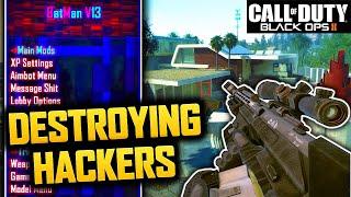 Black Ops 2 in 2020 Destroying Infection Hackers and Cheaters with MODS!