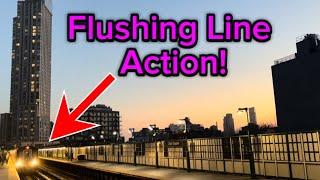 7 Flushing Local and 7 Flushing Express Train Action! | Court Square Station 2025