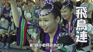 自由で美しい踊り！「飛鳥連」Awa Odori Dance - 第7回小岩阿波おどり（2024.7.6）