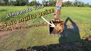 LIMPANDO VALETA !! Pensa em uma valeta que saiu um monte de peixe  Escavadeira hidráulica