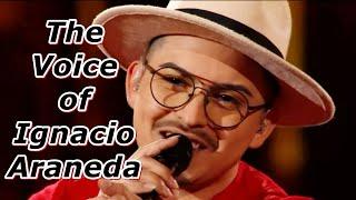The Voice of Ignacio Araneda