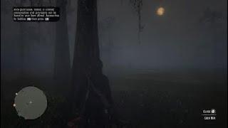 Red Dead Redemption 2 "Bluewater Marsh Treasure Map Location"