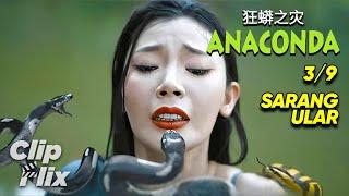 Anaconda: Cursed Jungle (3/9) | Sarang Ular | Cuplikan Film Monster | ClipFlix