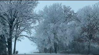 Beautiful White Winter Snowy Trees 2021 || Roadtrip || LydiaSMtime