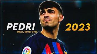 Pedri 2023 - Best Passes, Skills & Goals | HD