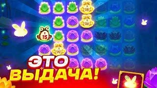 FIRE HOPPER НА ВЫДАЧЕ! ЗАНОС С 3 ЖАБАМИ НА ****X!