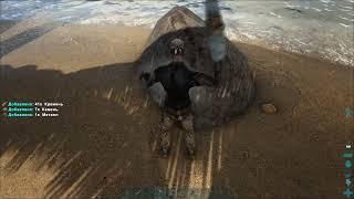 Ark Survival Evolved #2. Как приручить др...     динозавра