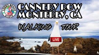 LIVE Walking Tour of Cannery Row in Monterey, CA