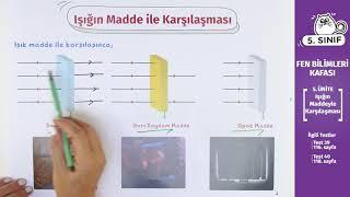 5. Sınıf Fen Bilimleri Ders #16 - Işığın Maddeyle Karşılaşması