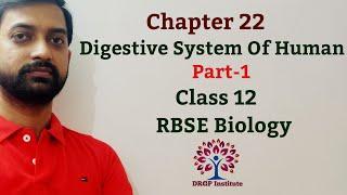 Class 12 Chapter 22: Digestive System Of Human RBSE Biology (Part-1)