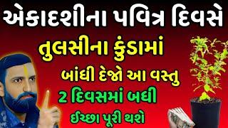 એકાદશીના દિવસે તુલસીના કુંડામાં આ એક વસ્તુ બાંધી દેજો | Vastu Tips | VastuShastra | Ekadashi kab hai