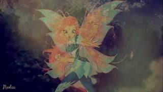 ℬʟooм& Winx club // we are the 's