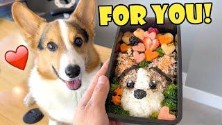 CORGI'S BENTO Box Surprise Reaction - Dog Friendly || Life After College: Ep. 727