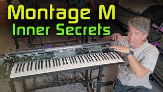 Montage M: All the Inner Secrets of Yamaha's Flagship Synth