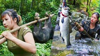 大波美女獨自野求生，捕捉山雞用黃泥包裹製作叫花雞，打造深坑陷阱直接收穫極品野豬，馴養野豬，魚叉叉魚抓到5kg河魚，美滋滋吃上烤魚！