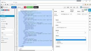 AngularJs Expert. Submission controller ng submit and ng click directive [07]