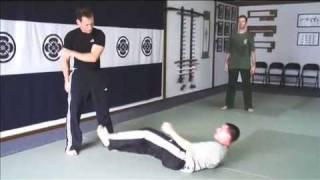 Russian Martial Art Systema - Martin Wheeler