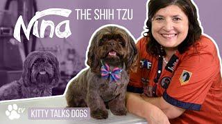 Grooming Nina the Shih Tzu | Kitty Talks Dogs - TRANSGROOM