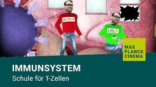 Immunsystem - Schule für T-Zellen