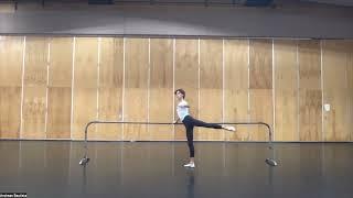 Perry-Mansfield 2023 Summer Professional Dance Intensive Video Audition