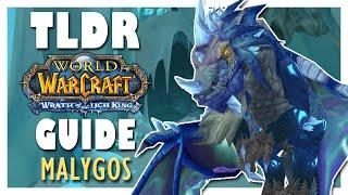 TLDR Malygos RAID GUIDE - Wrath of the Lich King Classic