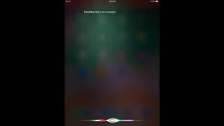 Siri Translate